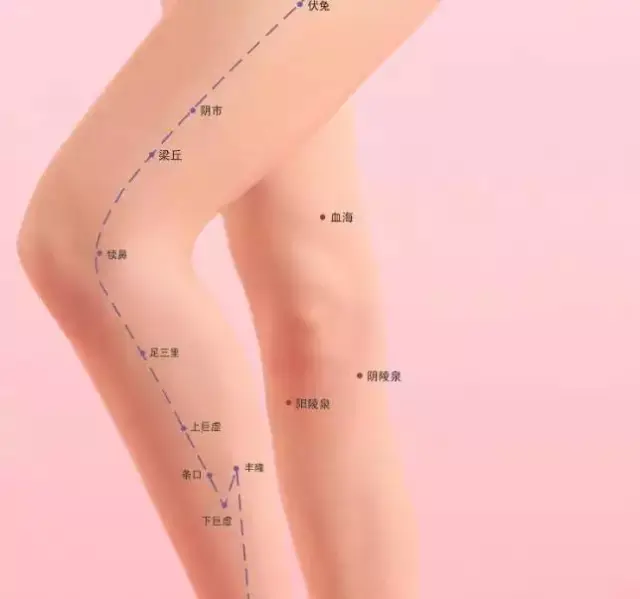 【快速取穴】三阴交在小腿内侧,当足内踝尖上3寸,胫骨内侧缘后方.