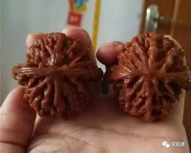 文玩核桃中的传奇有钱也买不到