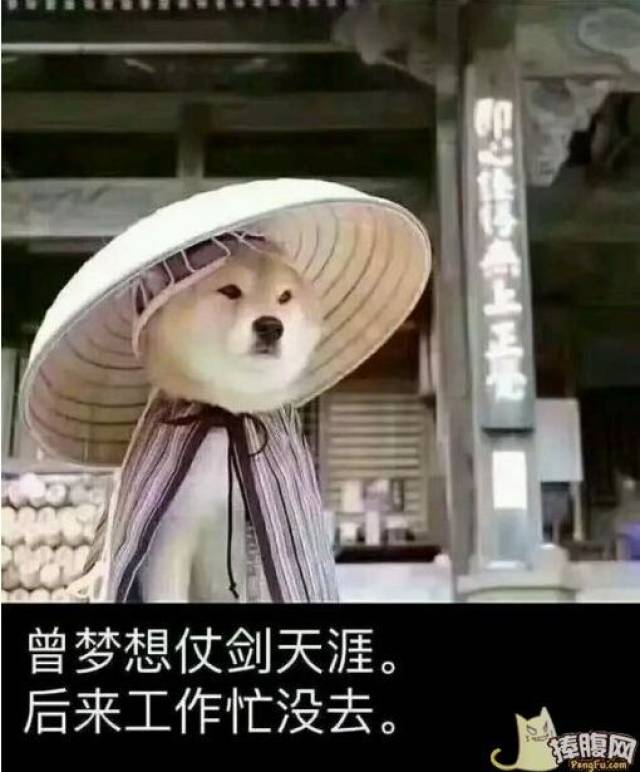 曾梦想仗剑走天涯,后来工作太忙了|禁摩的一股清流:禁摩是提升城市
