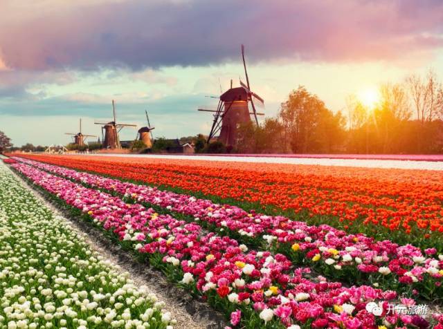 2018全球最佳国家排行榜,你最想去哪个国家?