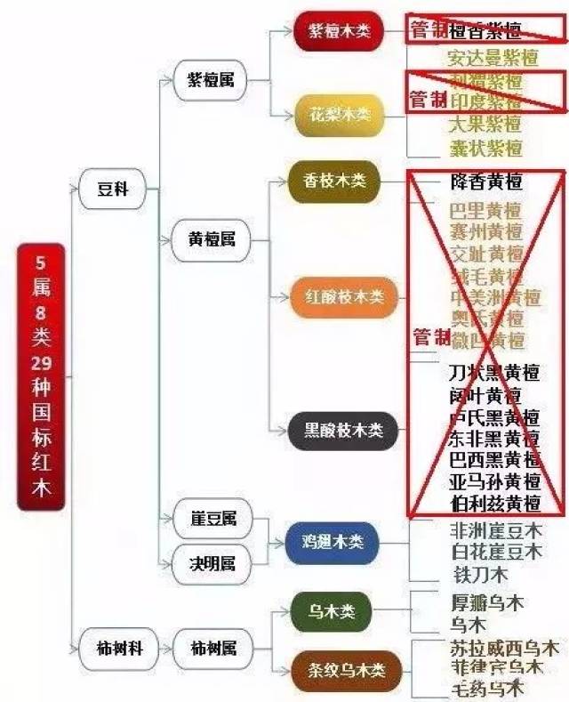 (2018年7月1日实施的红木新国标5属8类29种及保护管制示意图)