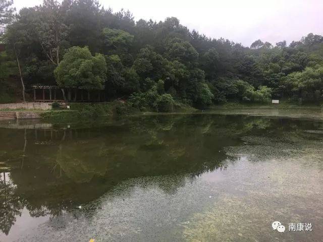 藏在东山公园的秘密,你知道吗?