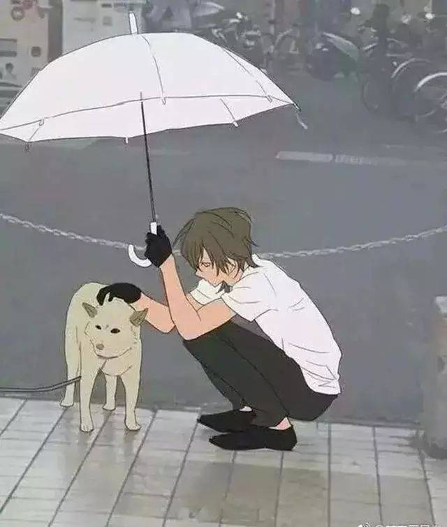 这才是最美的漫画吧~ 善良帅气的小哥哥给路边淋雨的狗狗撑伞,善良的