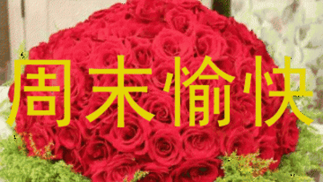 ĩף̬ͼƬ ĩ簲ʺܰ̾