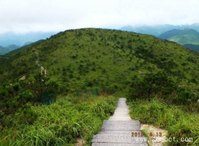 浙江最高的山丽水龙泉黄茅尖海拔1029米