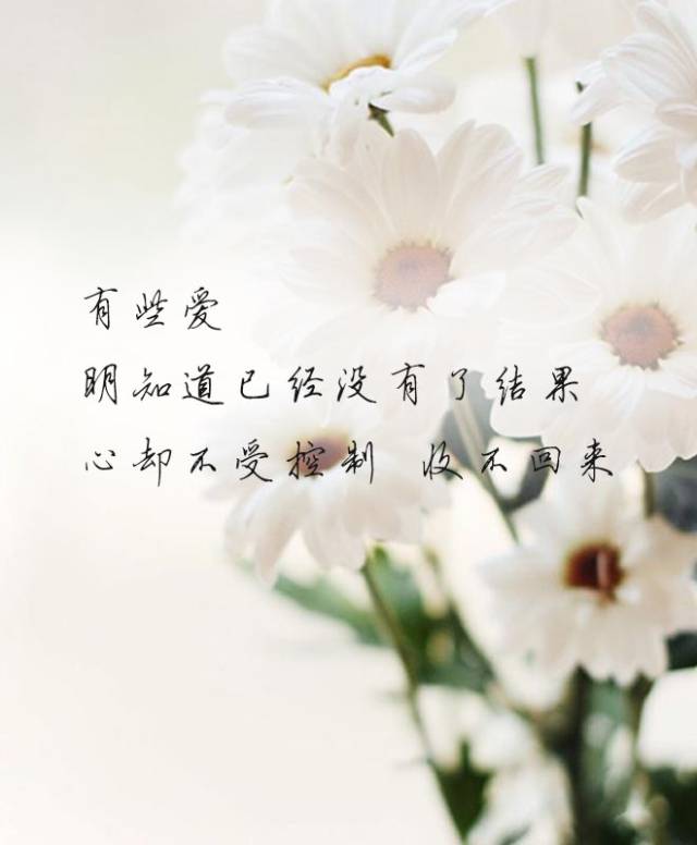 曾真心对过你,分手后从未放下你