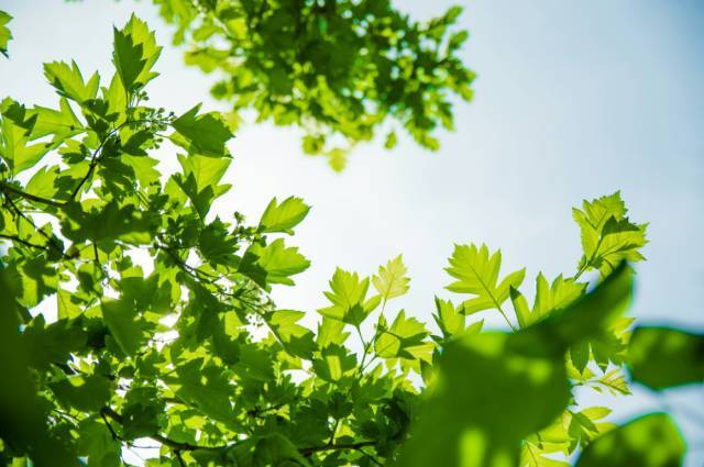 ̨ˣൺһֱ£ȣմЩ