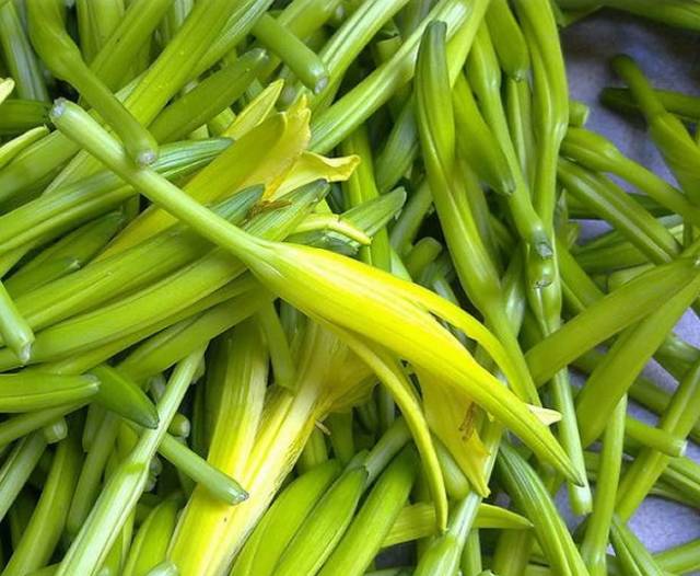 七芯野生中国的母亲花淮阳黄花菜