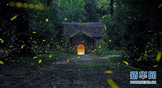 ̨ˣൺһֱ£ȣմЩ