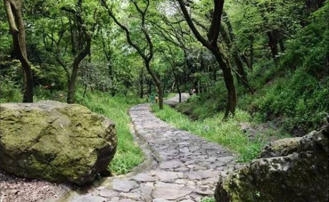 遇上坡度较大,山势险峻的区段,路面依托原有古驿道,以块石,毛石不