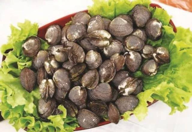 荣成百味 | 夏日海鲜赤贝
