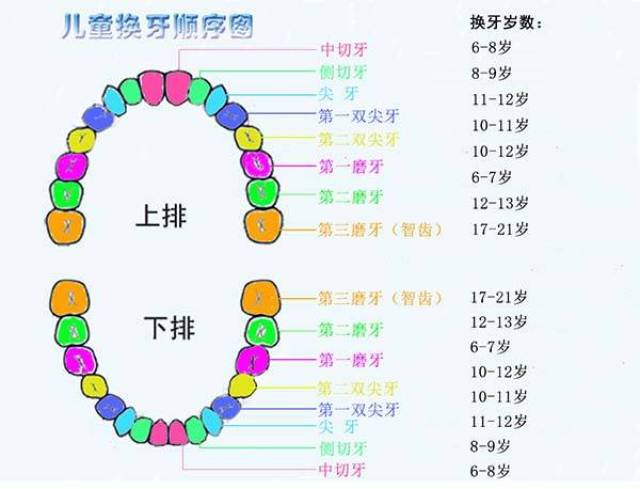 改善口腔中环 1,时刻关注牙齿发育情况 要经常关注儿童的乳牙和恒牙