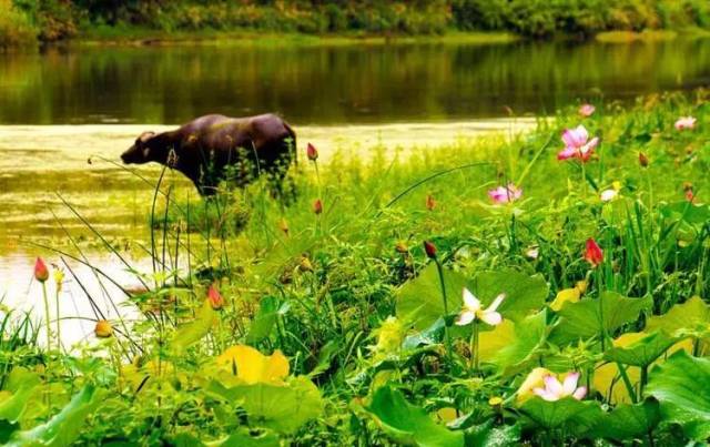 ̨ˣൺһֱ£ȣմЩ