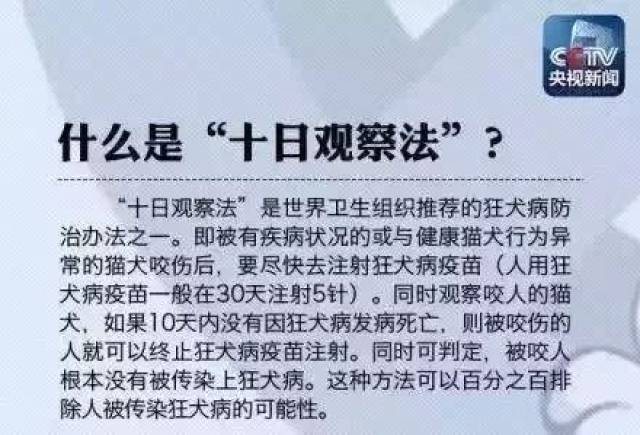 这些情况下根本不用打狂犬疫苗!