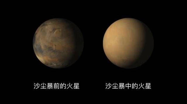 『新鲜趣事』“血燕”为什么这样红?真相让你