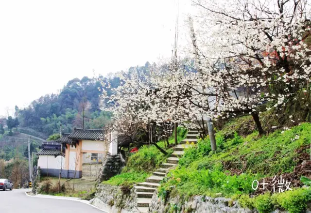 悦游都江堰丨行走在万岭村