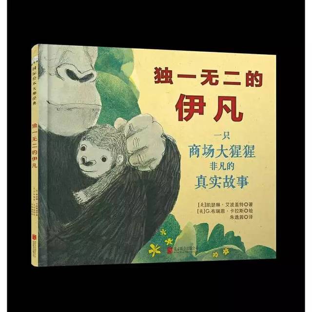 推荐绘本:《独一无二的伊凡》