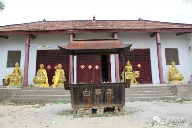 永城这座山像美人鱼,叫鱼山,山上有座白果寺,据说李闯王曾借住一宿