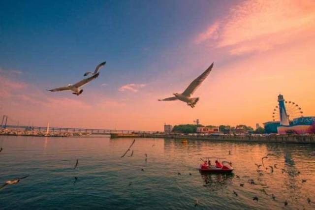 去大连圣亚, 感受一场奇幻的蔚蓝深海旅行