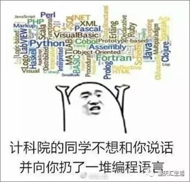 哈哈哈哈哈哈,原来每个专业都有自己专属的表情包,心疼又好笑