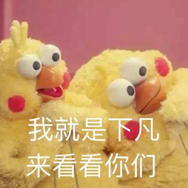 43f3fe056e6b43d7b16ff1213e0771cb.jpeg