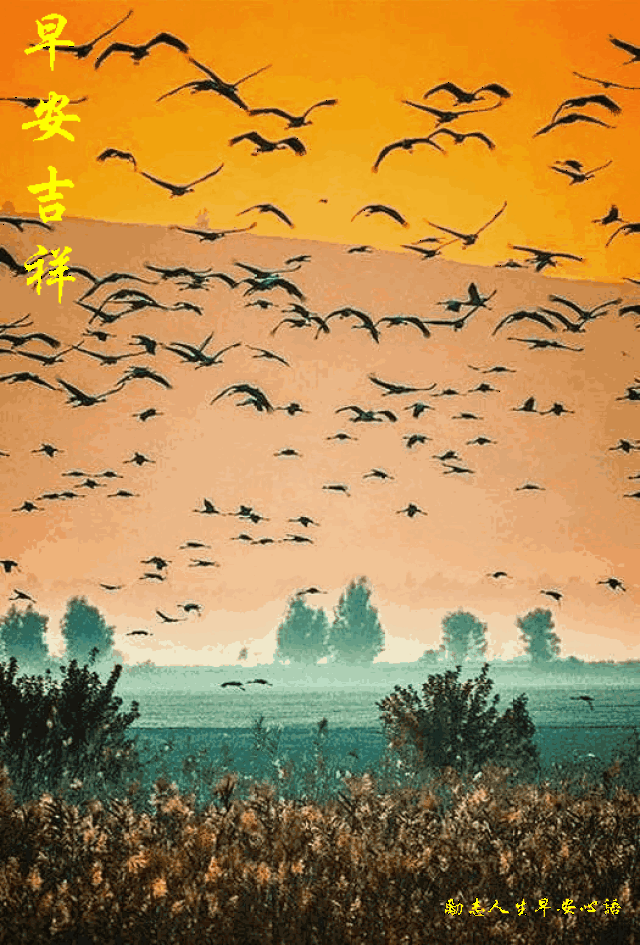 724星期二《早安心语》∮