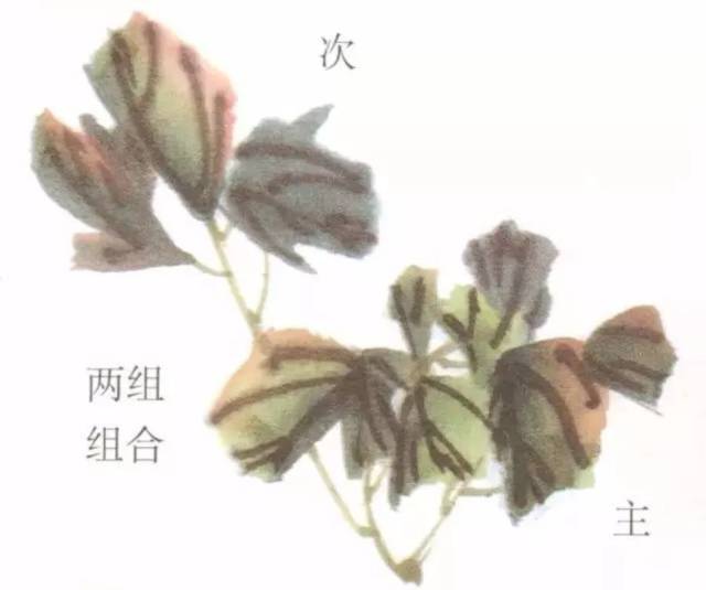 国画牡丹叶子和枝干的画法,简单易学!图片