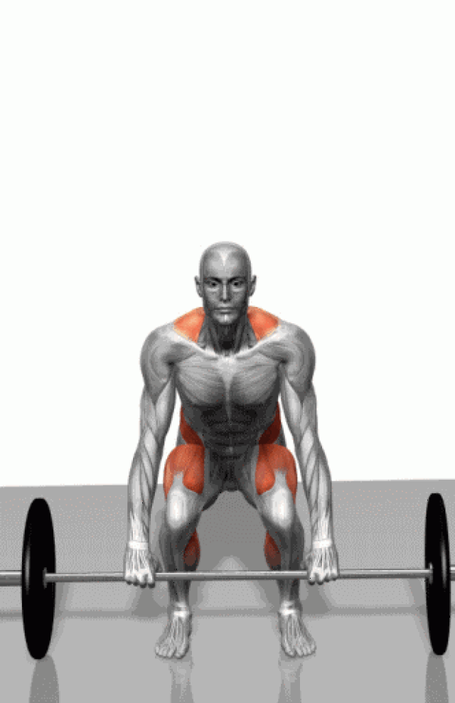 史上最全肌肉训练分布图,再也不愁不懂肌肉了!