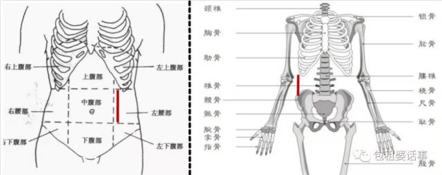 看了何穗的腰,我终于知道为什么水原希子成不了国际超模