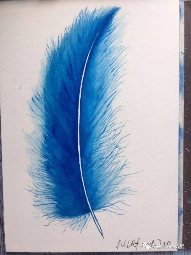 零基础绘画教程-水彩《蓝色羽毛》