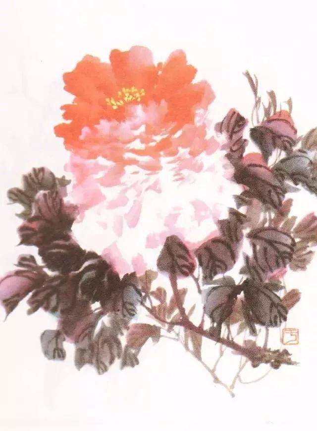 国画牡丹叶子和枝干的画法,简单易学!图片