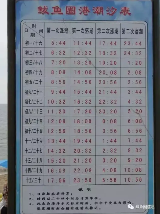 赶海秘籍 鲅鱼圈赶海潮汐表 【赶海基本技能】识潮起潮落