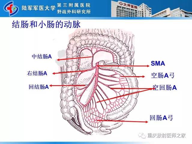 腹部血管疾病的msct检查及诊断