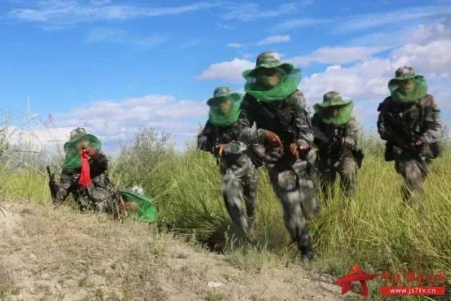 触目惊心!有7条军犬被蚊虫咬死的地方,竟然还有军人在训练_手机搜狐网