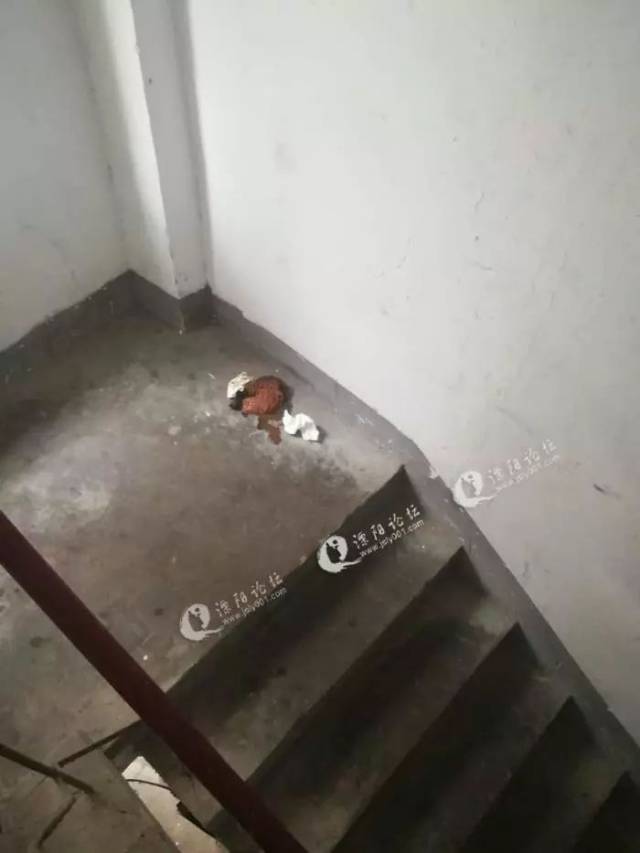 5 溧阳一楼道内竟然有人随地大便!