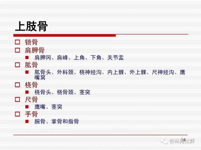 支持运动加保护 肌肉动力骨杠杆,关节枢纽连邻骨 体表标志要记牢,临床