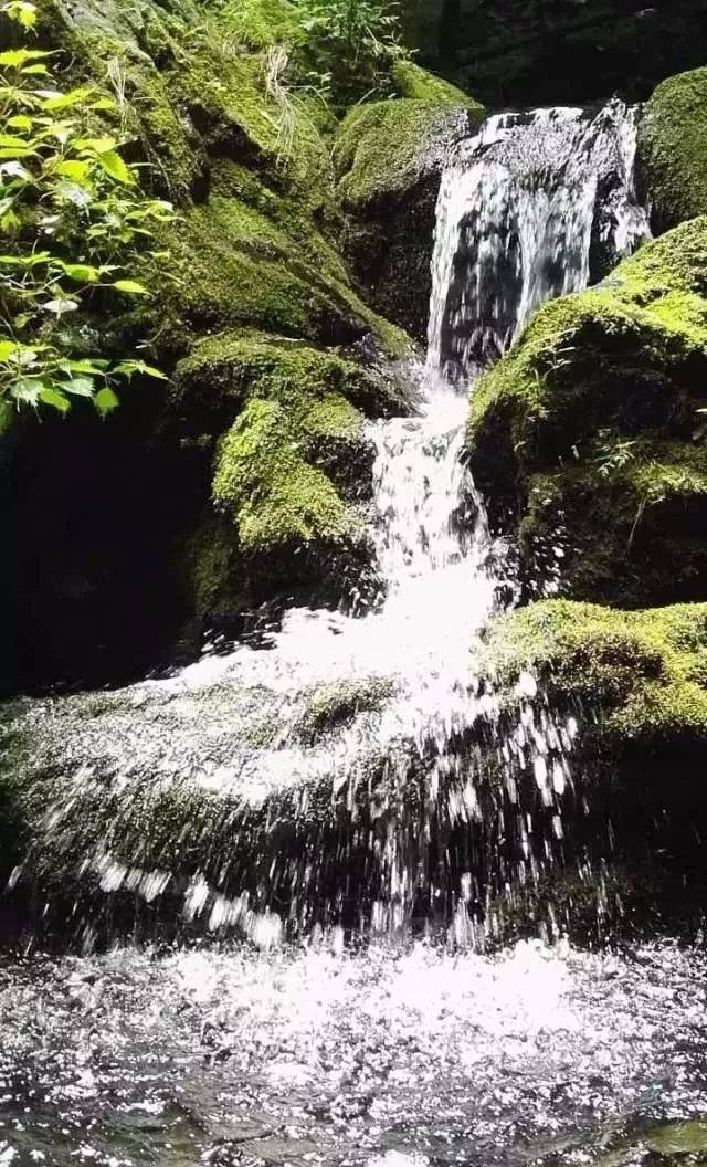 山泉,小溪,瀑布美如画!