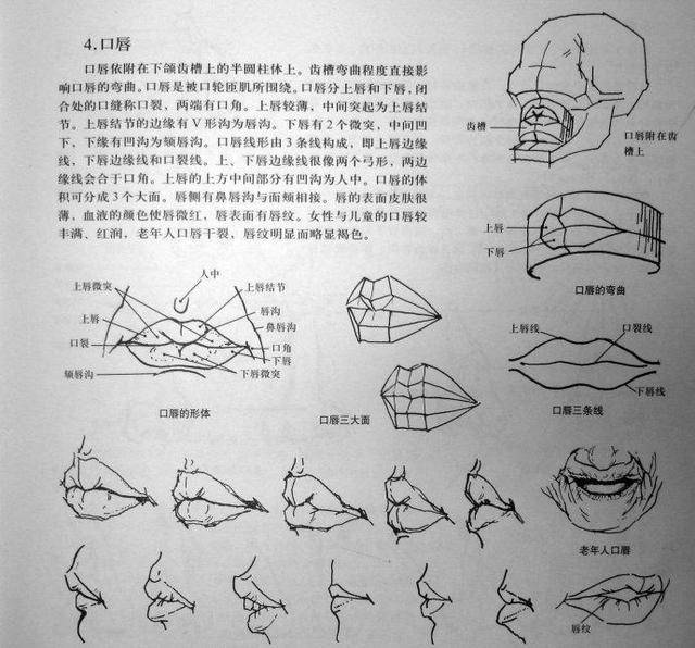 素描基础教程和素描基础知识的讲解,怎样才能画好人体