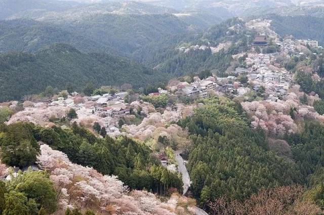 奈良【竹林院】