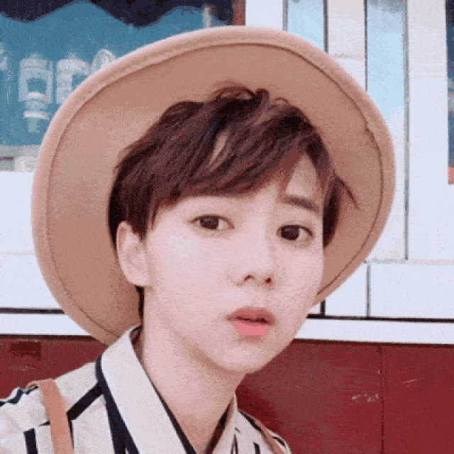 外形特点:身材不算高,皮肤白皙,毛茸茸的短发,圆溜溜的大眼睛