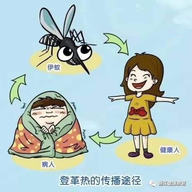 去年夏天的登革热,你还记得吗?赶紧收好这份防身帖