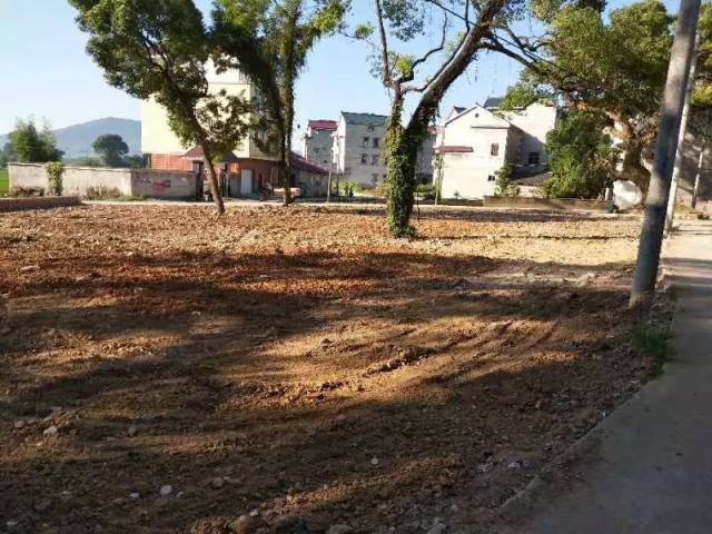 曹溪镇新屋村:乡贤引路,凤凰筑巢,美丽乡村正当时