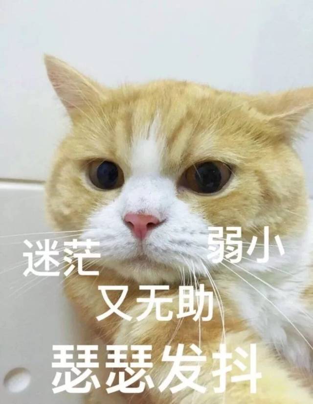 网友们分享在学校遇到的细思极恐诡异事件.看完瑟瑟