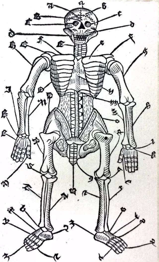 东一健身教练培训学院▏首创课程精准解剖及人体运动科学学解剖就是玩