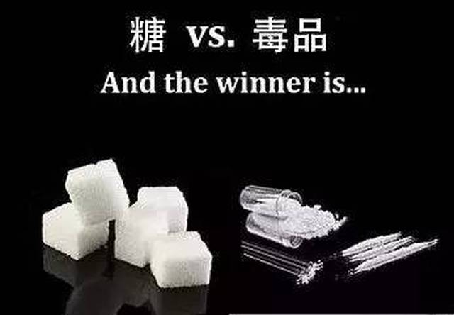 法国波尔多大学的研究还发现,比起毒品,94%的老鼠更倾向选择糖.