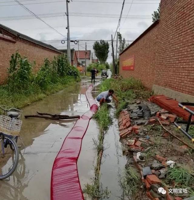 【雨中正能量】宝坻刷爆朋友圈的感人瞬间!