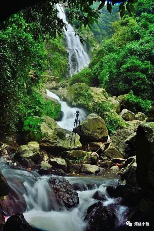 惊喜推荐:洛江旅游十条经典线路,快来投出你最爱的那条