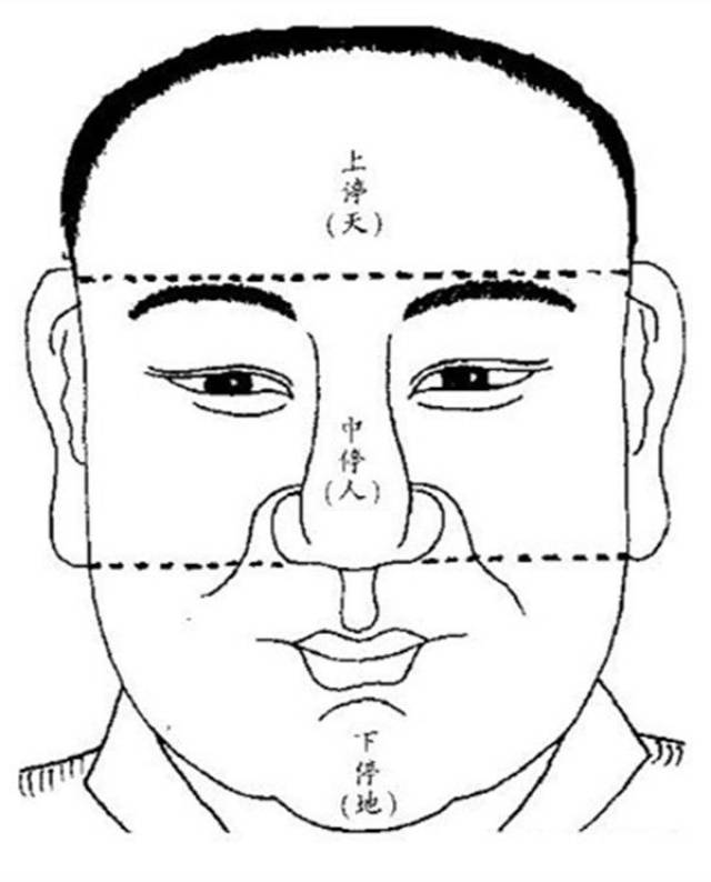 《易经》中有天,地,人"三才",面相中对应的"三才"指的是"三停(亭)"