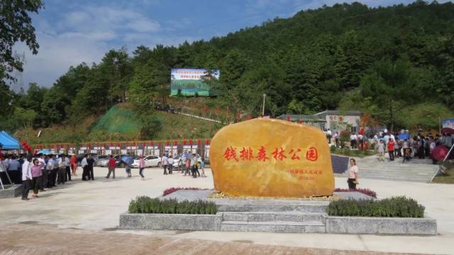 小城市的"味道"越来越浓—信宜市钱排县域副中心见闻