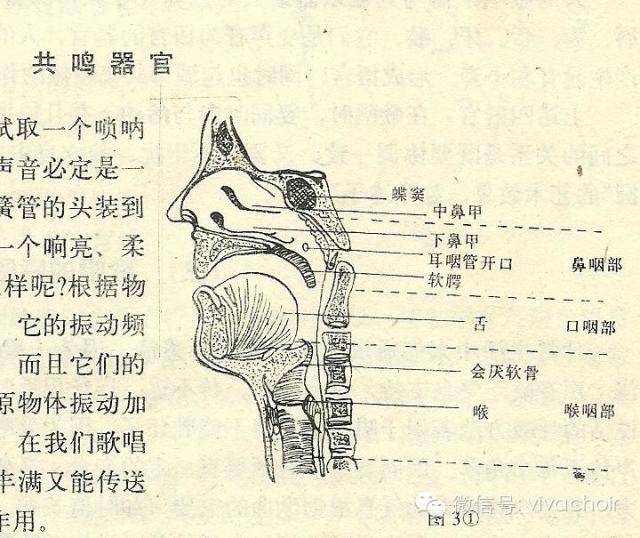 专业唱歌发声技巧一览